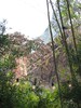 IMG_4555