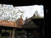 IMG_4557