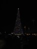 IMG_4690