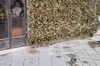 DSCF1220