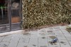 DSCF1223