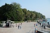 DSCF2231