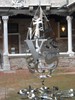 DSCN0683