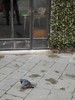 DSCN0854