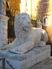DSCN1031