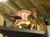 DSCN1111