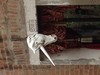 IMG_1449