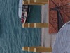 IMG_1505