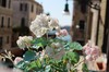 DSCF0197