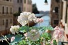 DSCF0198