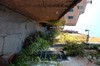 DSCF0238