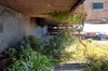 DSCF0239