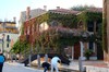 DSCF0346