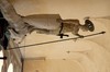 DSCF0454