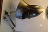 DSCF0607