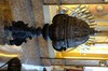 DSCF0621