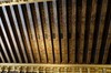 DSCF0653