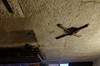 DSCF0705