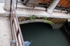 DSCF0875