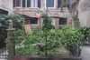 DSCF0997