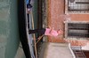 DSCF1041
