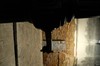 DSCF1076