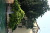 DSCF1127