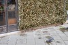 DSCF1221