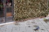 DSCF1222