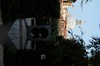 DSCF1235