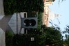 DSCF1237