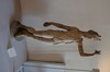 DSCF1434