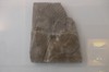 DSCF1472