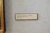 DSCF1529