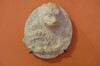 DSCF1548