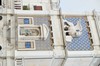 DSCF1681