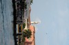DSCF1877