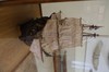 DSCF2077