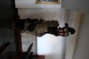DSCF2099