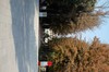 DSCF2235
