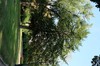 DSCF2238