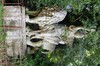 DSCF2242