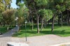 DSCF2247