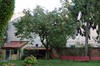 DSCF2251