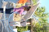 DSCF2380