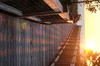 DSCF2387