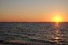 DSCF2392