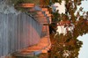 DSCF2394