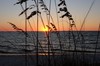 DSCF2398