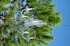 DSCF2545